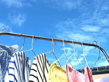 ペットショップで