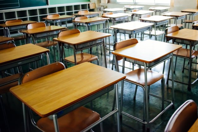 ペットショップで